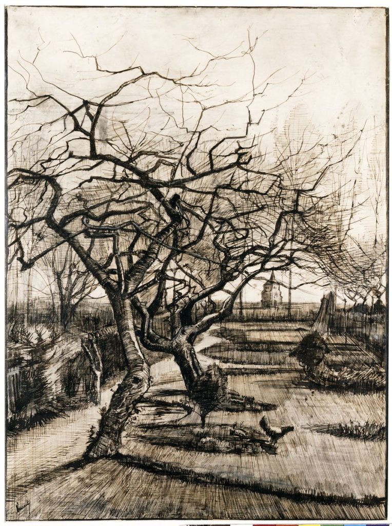Vincent van Gogh: A neuneni kert télen