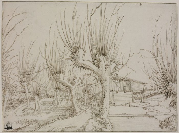 Wolfgang Huber: Landscape with Willows and a Water-Mill, 1514